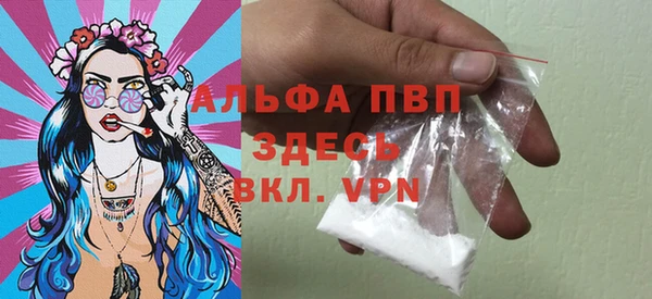стафф Алексин