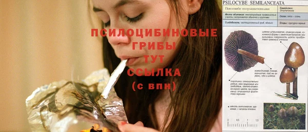 стафф Алексин
